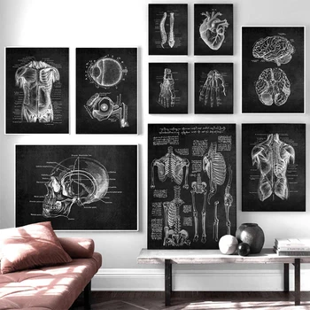 Abstrakts Cilvēka Anatomija Mākslas darbu Medicīnas Krāsošana Sienas Art Attēlu Muskuļu Skeleta Izglītības Plakātus, Kanvas Glezna Mājas Dekori